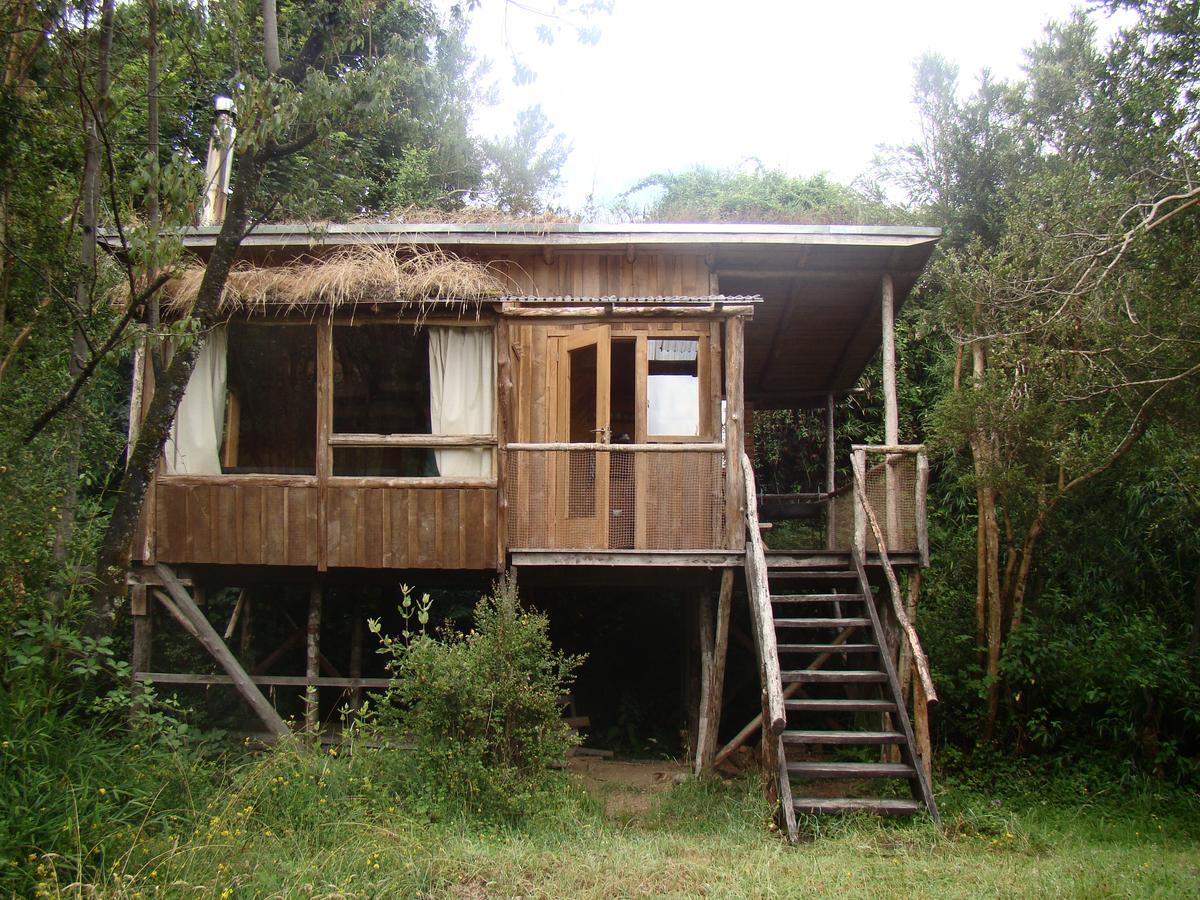 Villa Puelo Siempreverde Puelo River Exterior foto